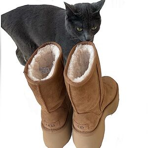 UGG NEW Heights Boots (does not come with cat)